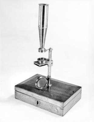 Cary-type compound microscope
