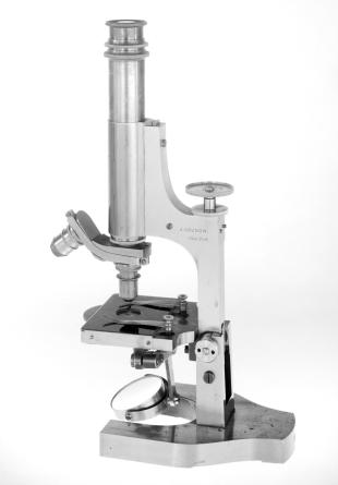 compound microscope