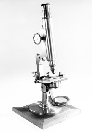 Zentmayer student compound microscope