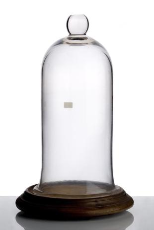 bell jar with wooden base