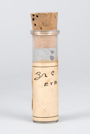 small stoppered test tube of "ZnC ETA"