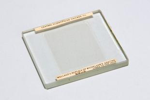 Michelson diffraction grating (replica)