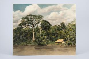 colored photograph of scene on the Amazon